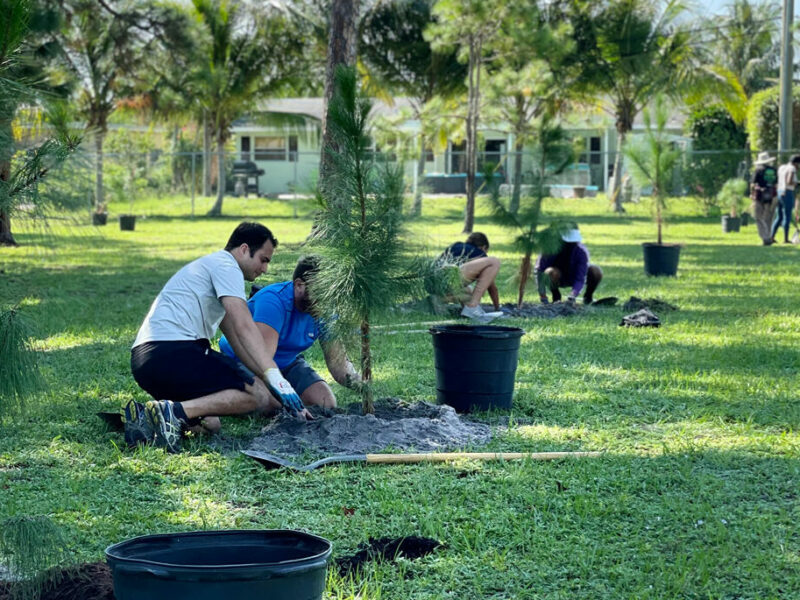 planting volunteers
