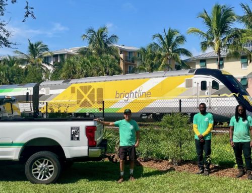 Community Greening & Brightline Partner on Palm Beach County Planting Project