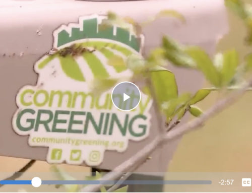 WPBF Climate Change Investigation Featuring Community Greening
